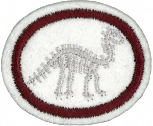Insignia de la especialidad Fósiles