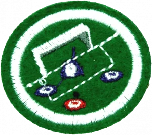 Insignia de la especialidad Fútbol de botones