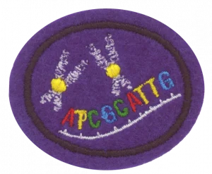 Insignia de la especialidad Herencia