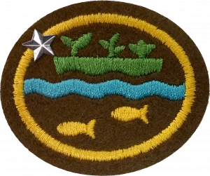 Insignia de la especialidad Hidroponía y acuaponía – Avanzado