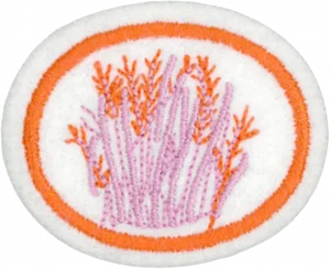 Insignia de la especialidad Hierbas