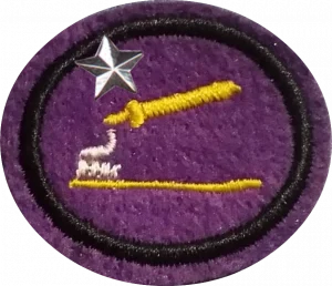 Insignia de la especialidad Higiene oral – Avanzado