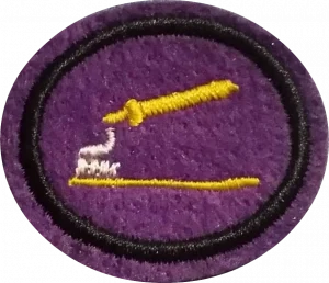 Insignia de la especialidad Higiene oral