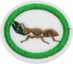 Insignia de la especialidad Hormigas
