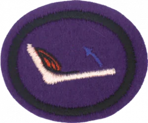 Insignia de la especialidad Huesos, músculos y movimiento