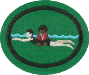 Insignia de la especialidad Instructor de seguridad en el agua
