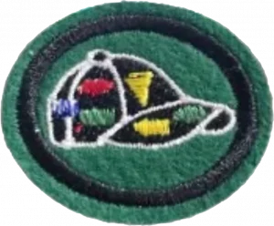 Insignia de la especialidad Intercambio de pins (División Sudamericana)
