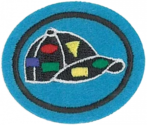 Insignia de la especialidad Intercambio de pins (Asociación General)