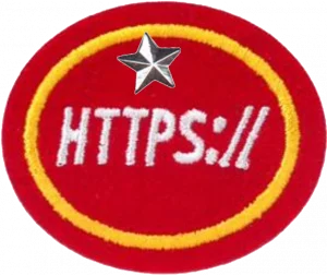 Insignia de la especialidad Internet – Avanzado