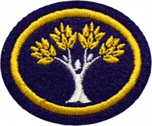 Insignia de la especialidad Legado de curación