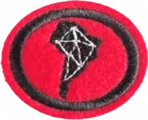 Insignia de la especialidad Logística