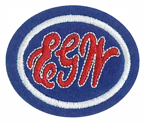 Insignia de la especialidad Mensajera de Dios
