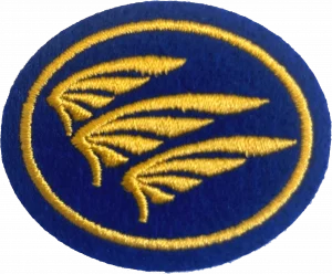 Insignia de la especialidad Mensajes de los tres ángeles