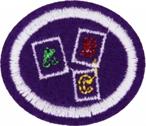 Insignia de la especialidad Metodología de estudio
