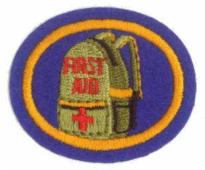 Insignia de la especialidad Ministerio ante el desastre