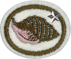 Insignia de la especialidad Moluscos – Avanzado