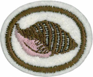 Insignia de la especialidad Moluscos