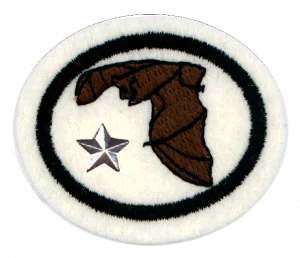 Insignia de la especialidad Murciélagos – Avanzado