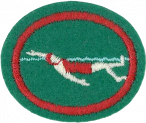 Insignia de la especialidad Natación de Nivel 2 / Intermedia