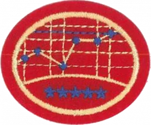 Insignia de la especialidad Negocios