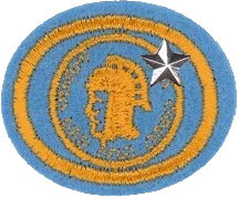 Insignia de la especialidad Numismática – Avanzado