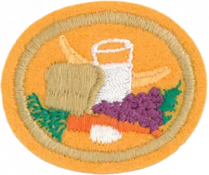Insignia de la especialidad Nutrición 1