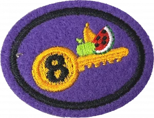 Insignia de la especialidad Ocho claves para la buena salud