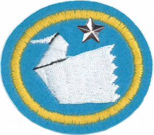 Insignia de la especialidad Origami – Avanzado