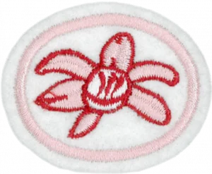 Insignia de la especialidad Orquídeas
