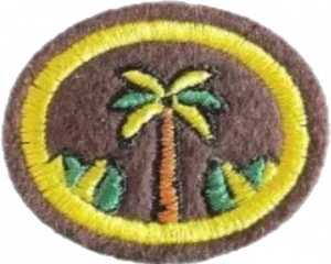 Insignia de la especialidad Paisajismo