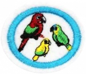 Insignia de la especialidad Papagayos, loros y pericos