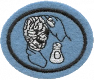 Insignia de la especialidad Papel maché