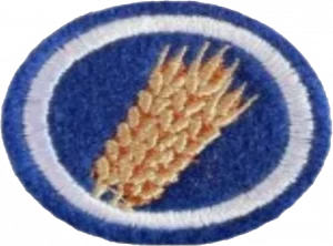 Insignia de la especialidad Parábolas de Jesús