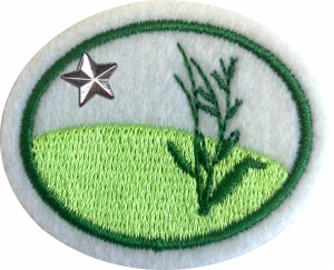 Insignia de la especialidad Pastizales templados – Avanzado