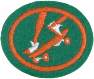 Insignia de la especialidad Patineta