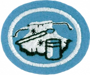 Insignia de la especialidad Pintura sobre tela