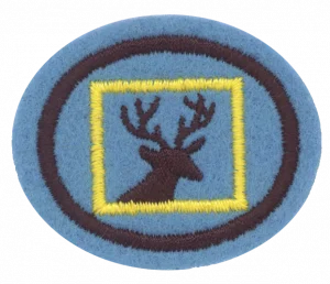 Insignia de la especialidad Pintura sobre vidrio