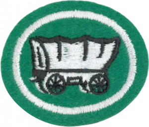 Insignia de la especialidad Pionerismo