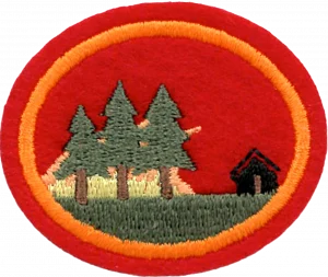 Insignia de la especialidad Preparación y prevención de incendios forestales