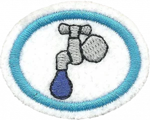 Insignia de la especialidad Preservación de recursos hídricos