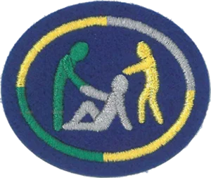 Insignia de la especialidad Prevención del acoso II