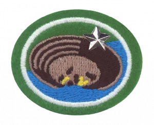 Insignia de la especialidad Prospección de oro – Avanzado