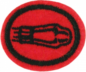 Insignia de la especialidad Radioelectrónica