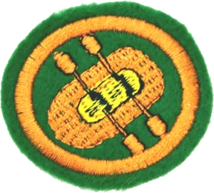 Insignia de la especialidad Rafting
