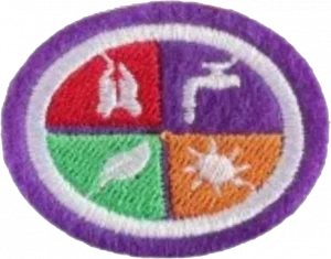 Insignia de la especialidad Remedios naturales