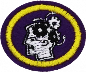 Insignia de la especialidad Salud mental