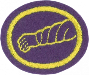 Insignia de la especialidad Salud y curación (Asociación General)