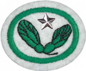 Insignia de la especialidad Semillas – Avanzado