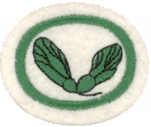 Insignia de la especialidad Semillas