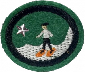 Insignia de la especialidad Senderismo con raquetas de nieve – Avanzado (División Sudamericana)